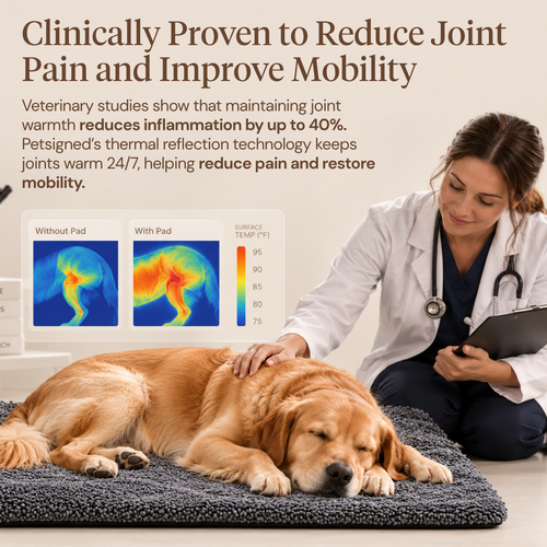 Petsigned Thermal Reflection Dog Bed